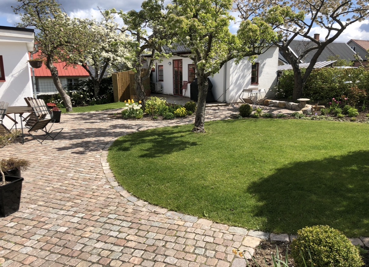 Trädgård anlagd av Bygg och Trädgård på Österlen med gatsten, gräsmatta och blommande fruktträd